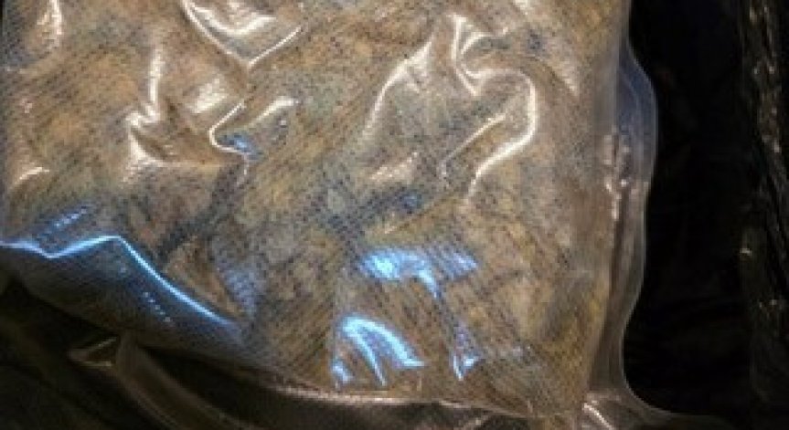 Серия акции срещу наркотиците в София и шестима задържани само за няколко дни