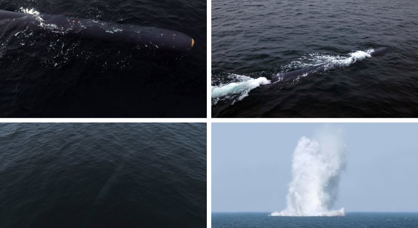 Северна Корея тества успешно подводен дрон с бойна глава