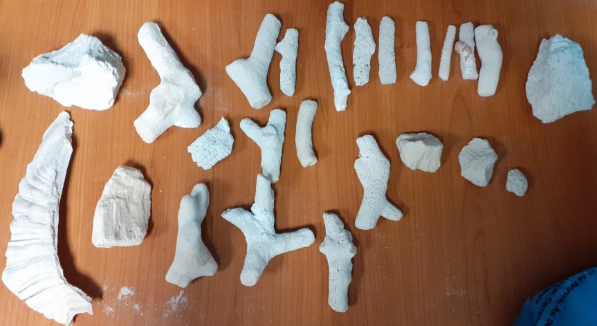 Да те хванат на летището с 2,5 кг корали на връщане от Доминикана