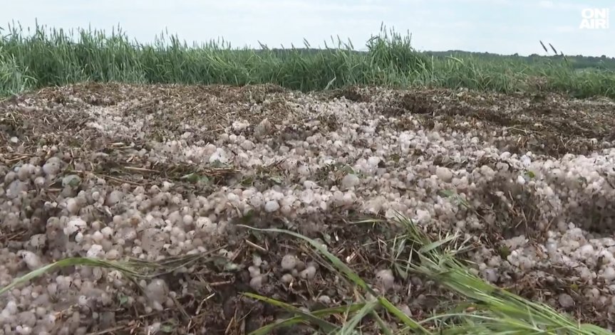 Сезонът започна активно с десетки намеси само за месец.
