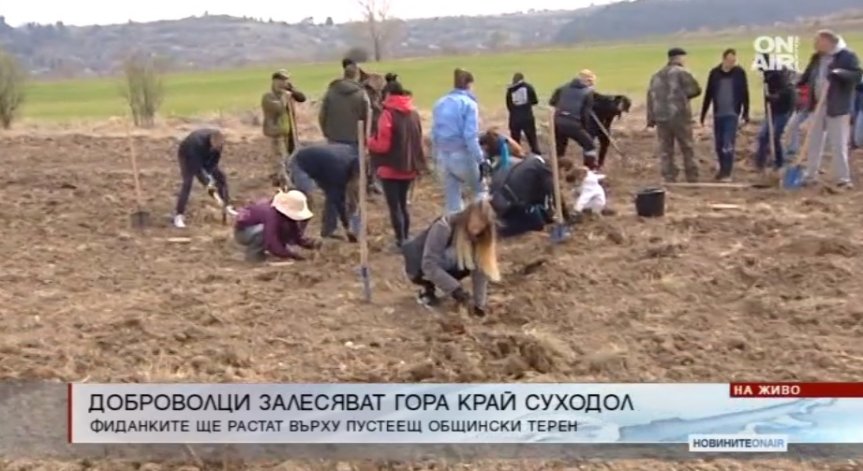Доброволци садят нова гора край Суходол