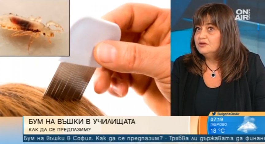 Бум на въшките и гнидите в столични учебни заведения