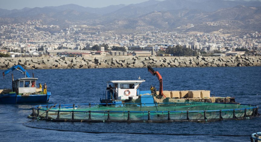 Въпреки пандемията: Кипър постави туристически рекорд