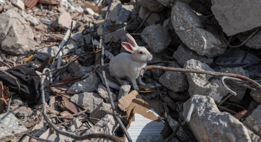 Eпидемия от холера заплашва Сирия, страната спешно се нуждае от ваксини