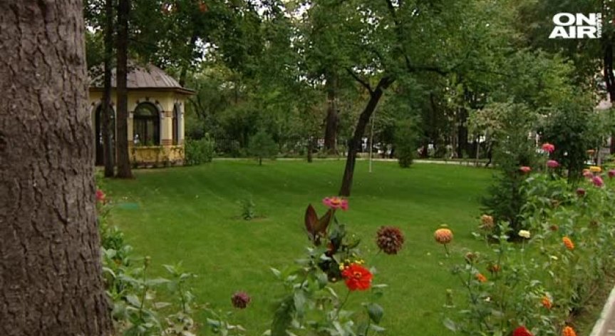 Напрежение след смъртта на Видинския митрополит Дометиан