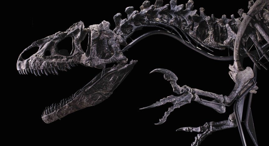 Откриха останки от динозавър в Аржентина