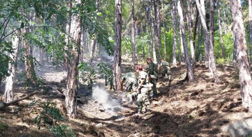 Причината за големия пожар в Девин - детска игра с огън