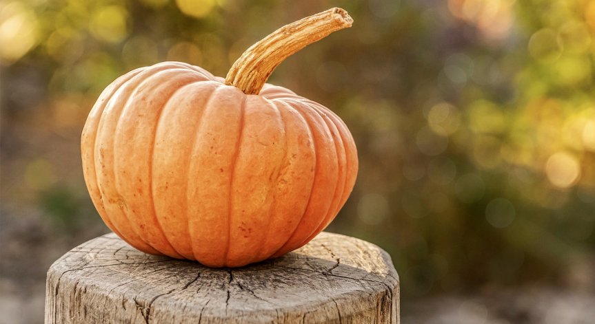 Яжте тиква за добро здраве през есента