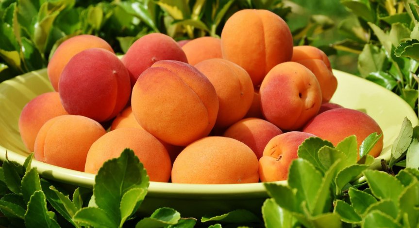 Прасковите с редица ползи за здравето: Помагат за справяне с желязодефицитна анемия