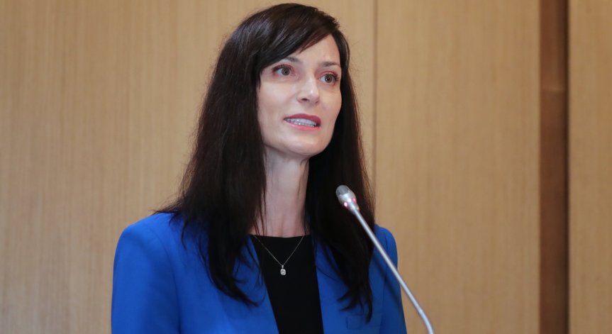 Габриел: Дипломацията е отговорност пред обществото, кауза в защита на националните интереси