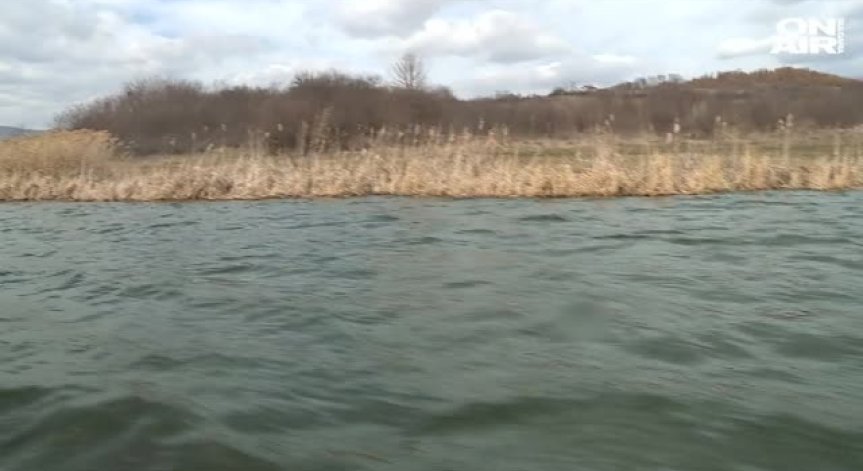 Добросъвестни рибари срещу бракониерите