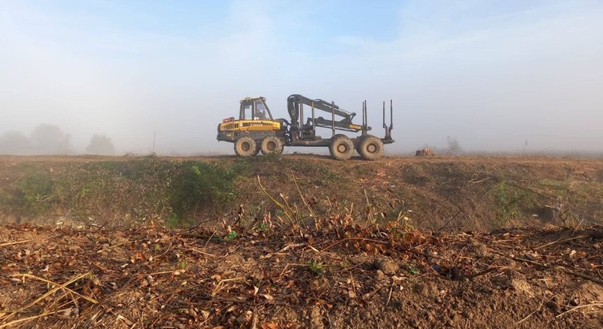 WWF: Крайречна гора край Ихтиман е подложена на сеч