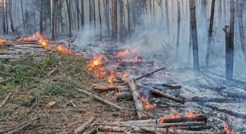 Близо 200 горски служители участват в гасене на пожари в страната