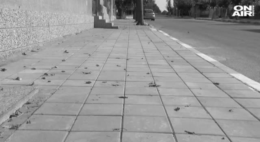 Пиян и дрогиран шофьор помете 6 момичета в Китен