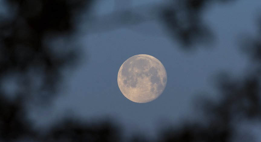 Австралийска авиокомпания предлага 