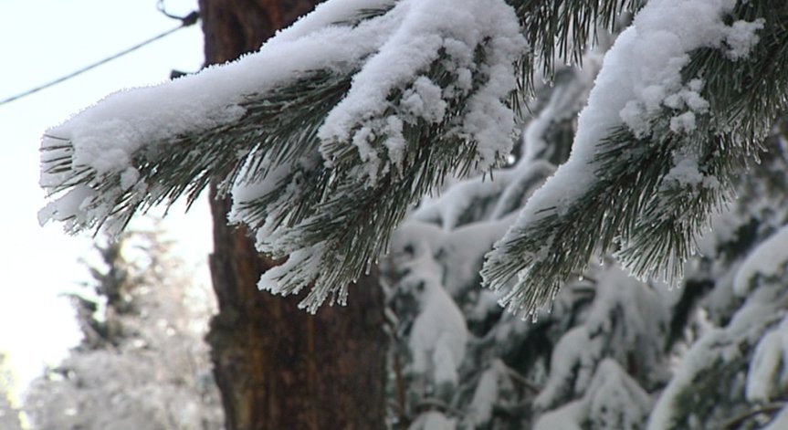 България очаква над 1,2 млн. туристи през зимния сезон 2015/2016г.