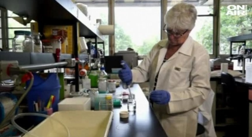 Обявиха епидемия от птичи грип в Пловдив и Пазарджик