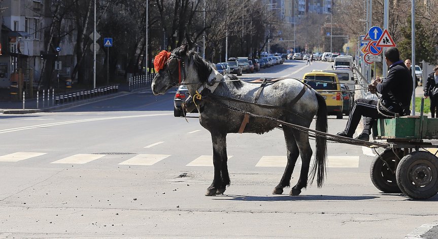 Каруца блъсна жена на пешеходна пътека в Асеновград