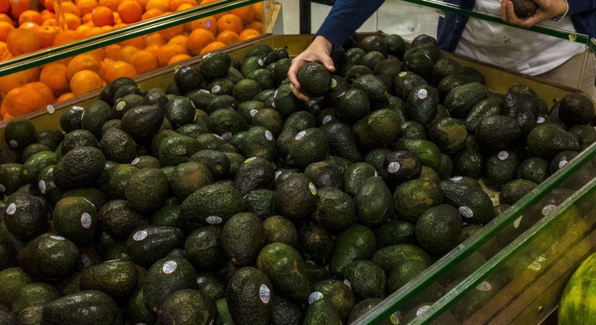 Бум на търсенето на авокадо, за 8 г. троен скок на засадените площи