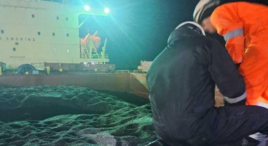 Слънчоглед от Аржентина е с допустимо олово, кадмий и никел, но пестициди над норма