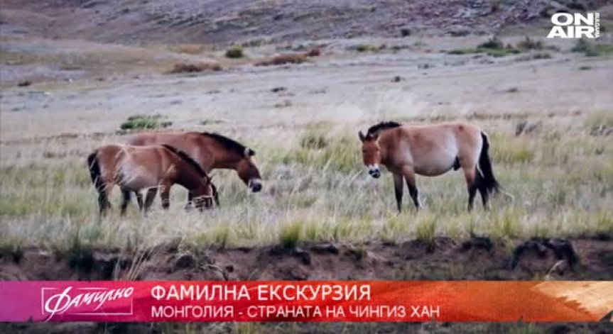 Фамилна екскурзия до Монголия - страна на номади, необятни степи и диви коне