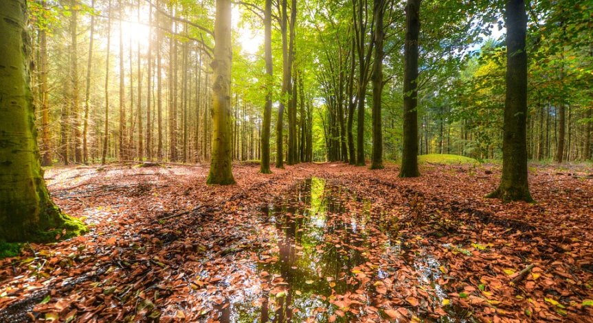 Времето днес: Слънце до обяд, следобед - гръмотевични бури