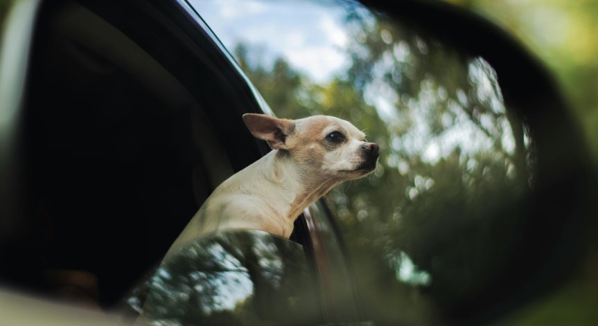 Случаят е станал по обяд вчера в крайбрежното селище Неа Врасна.