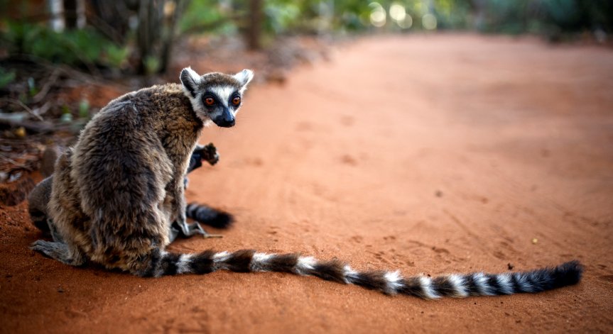 Цели държави и обитателите им са застрашени от изчезване.