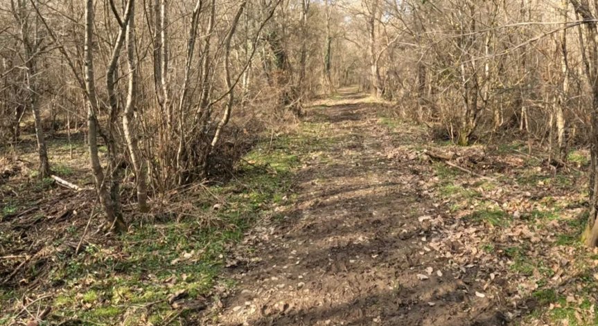 Те са открити на 27 срещу 28 декември.