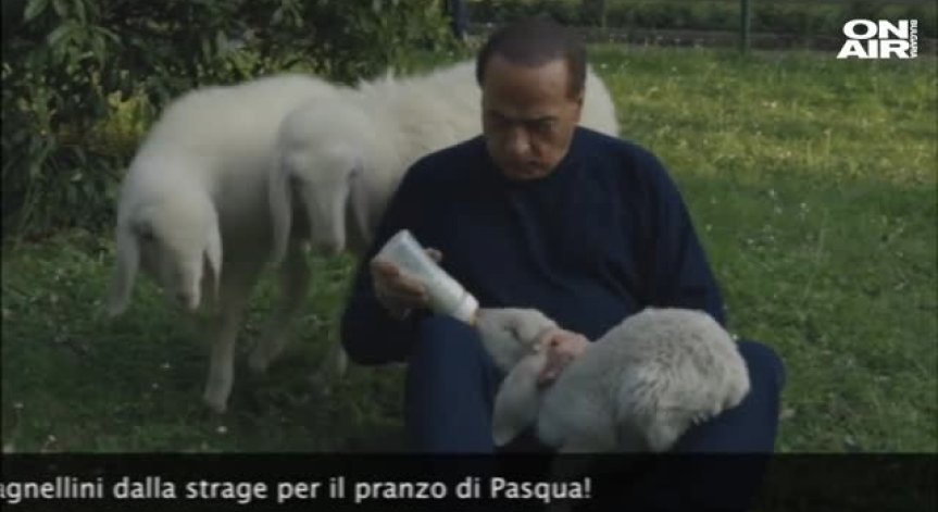 Силвио Берлускони храни агнета с биберон