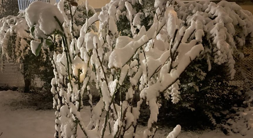 Квартали в София останаха без ток заради пожар, други - заради снеговалеж 