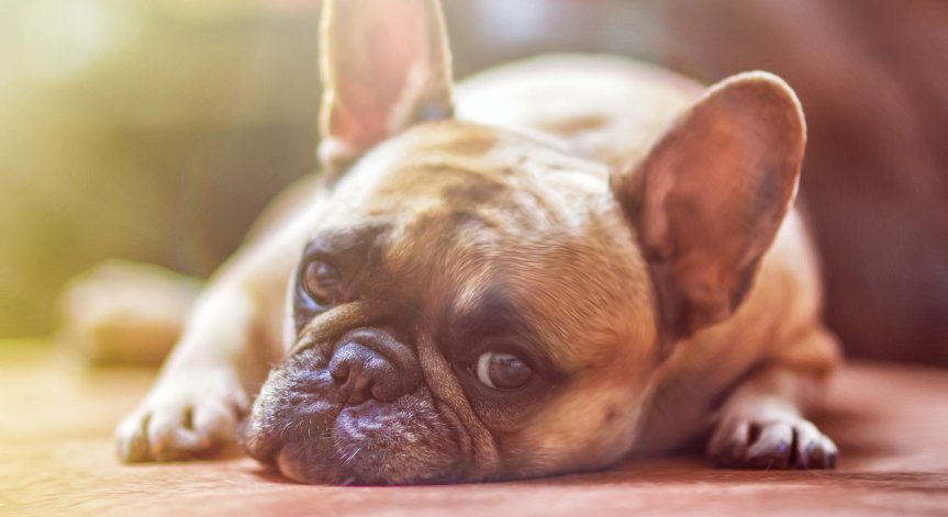 Те са разхвърляни в парка срещу сградата на районната администрация.