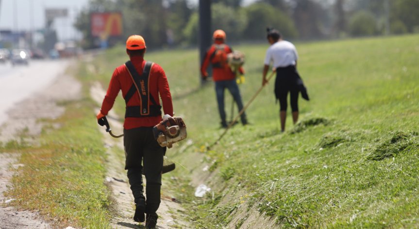 Жегите пречат на косенето