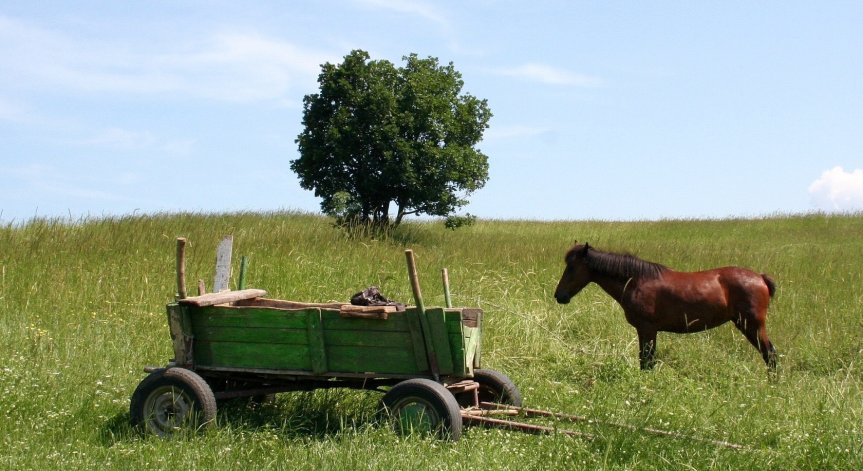 Кон прегази и уби 79-годишен край пристанище в Бургаско