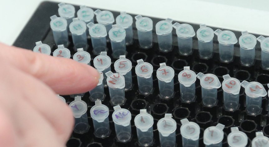 Двама починали с Ковид-19 и 136 заразени за денонощието