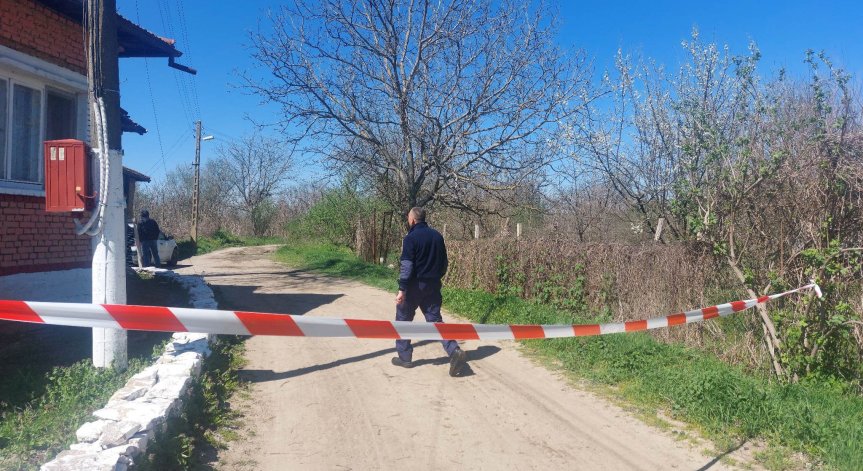 Близки на разкъсаната жестоко от кучета санитарка искат близо половин милион обезщетение