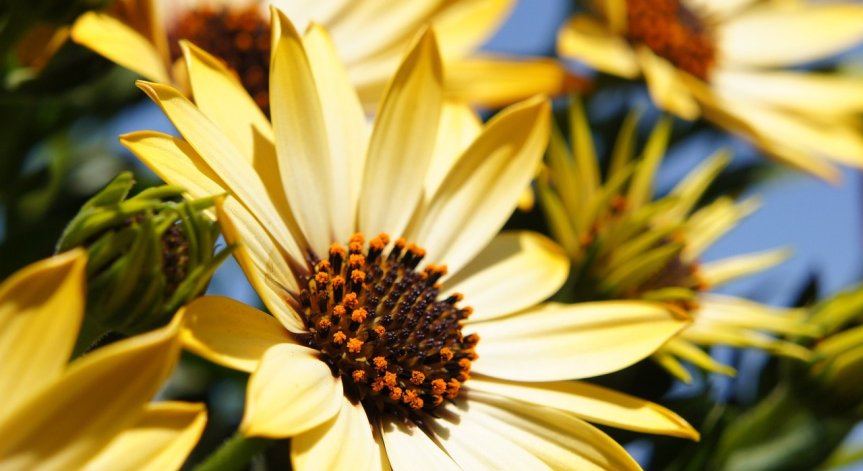 Посрещаме слънчева събота, на места ще има вятър