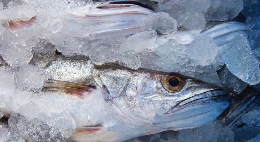 Русия забрани вноса на рибни и морски продукти от неприятелски страни