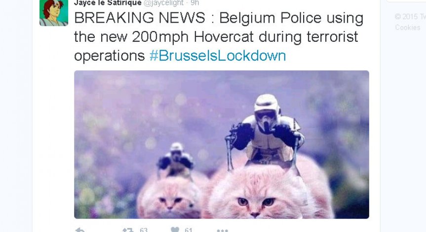 Белгийците наводниха Туитър с котенца