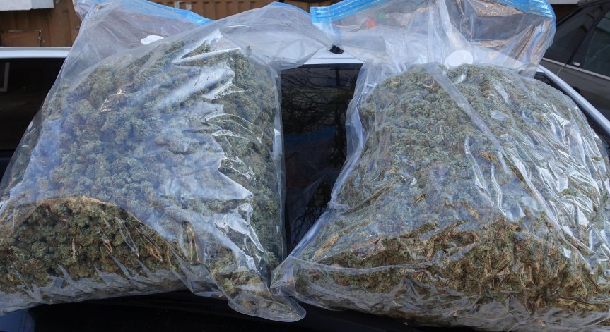 Иззеха 17 кг. марихуана от къща в село Искра