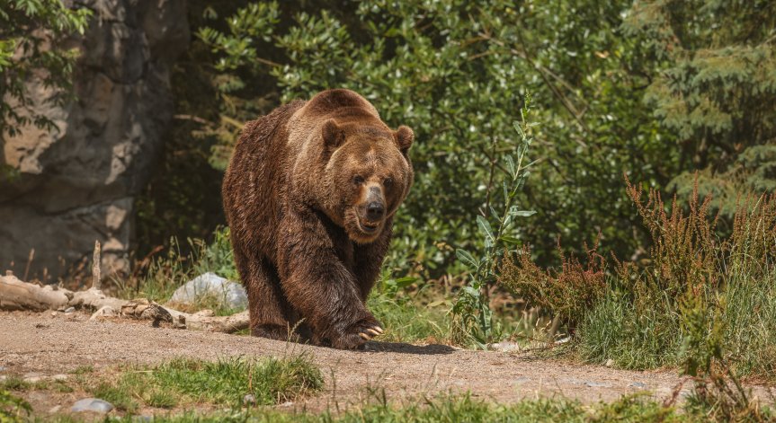 Снимка: Freepik