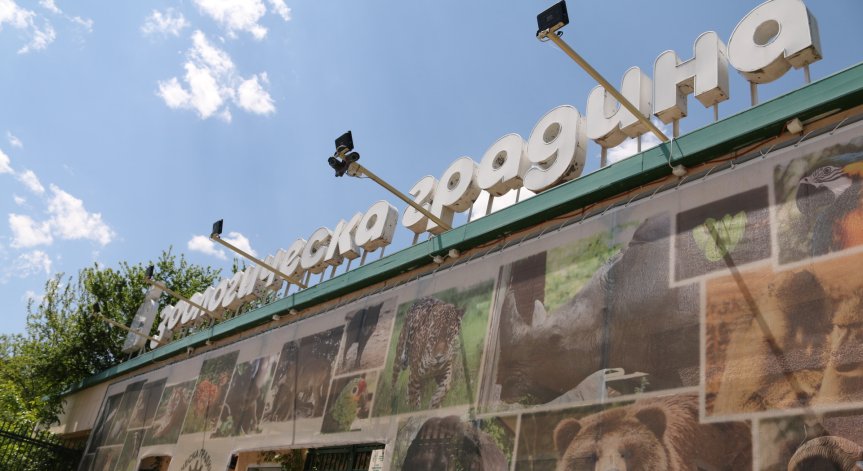 Зоопаркът в столицата отваря при строги мерки