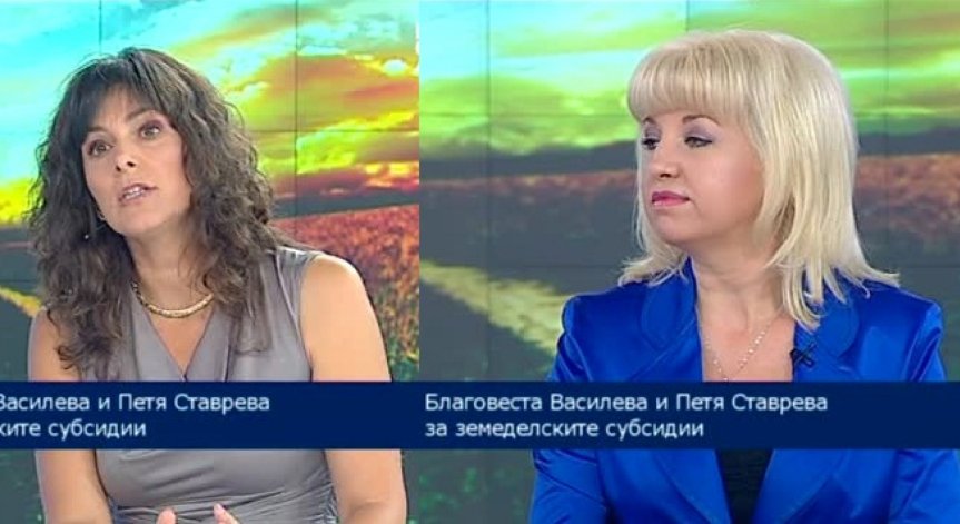 Закъсня дебатът за разпределението на земеделските субсидии за следващия програмен период, заяви П. Ставрева
