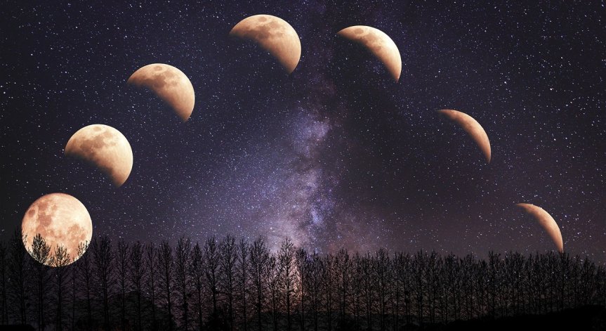 Раците се управляват от Луната.