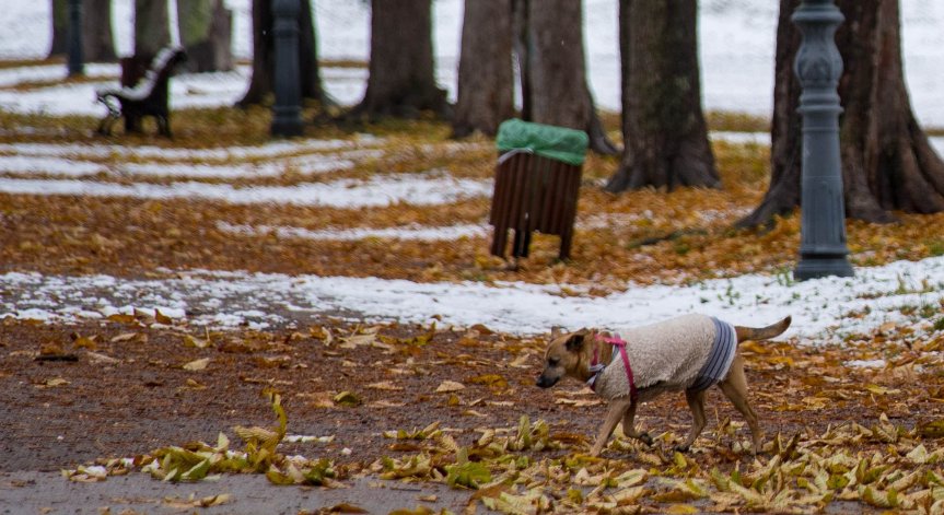 Времето се влошава: Жълт код за силен вятър в няколко области за събота