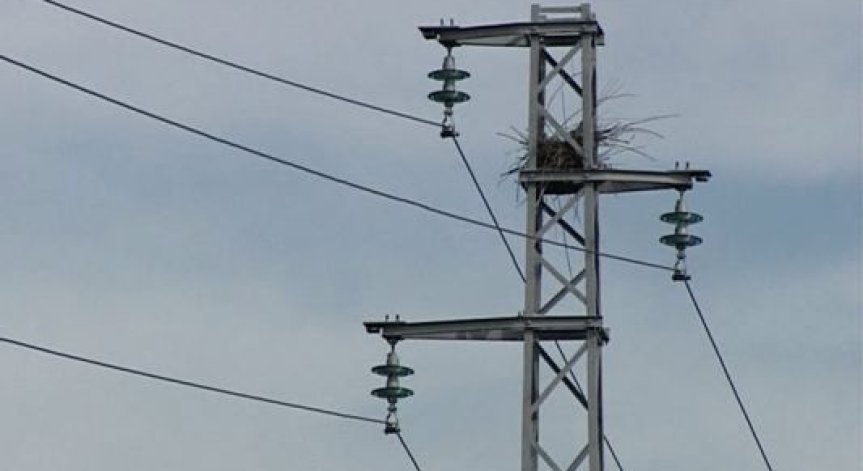 ЧЕЗ подменя електрически кабели за 415 хиляди лева в София