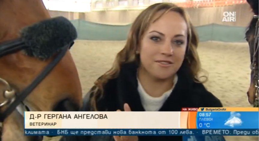 В празника на ветеринаря – лечебна ли е конната езда?