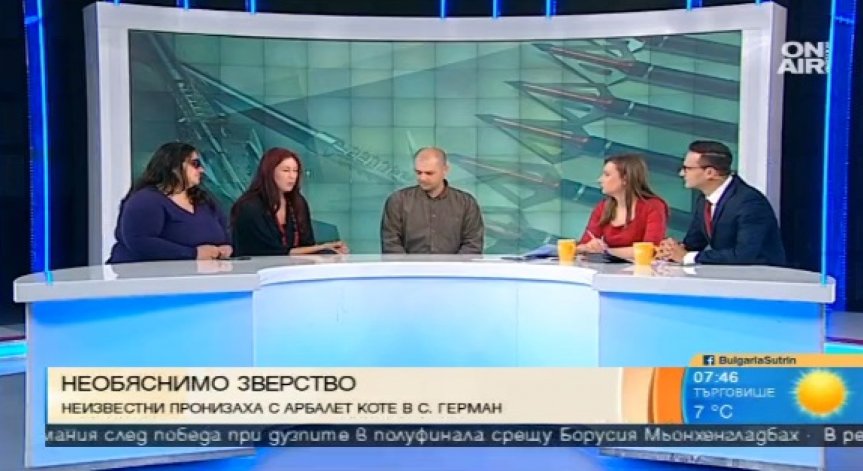 Фондация 