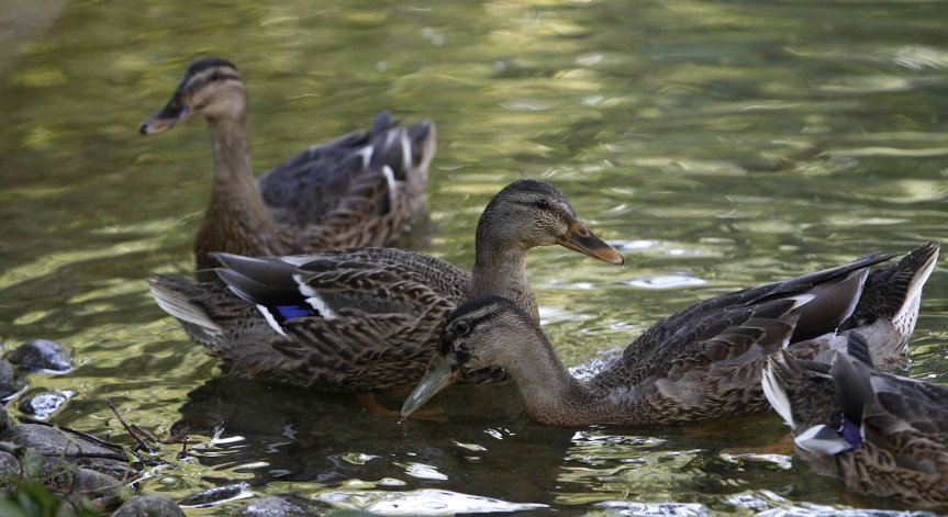Въпреки това остава топло.