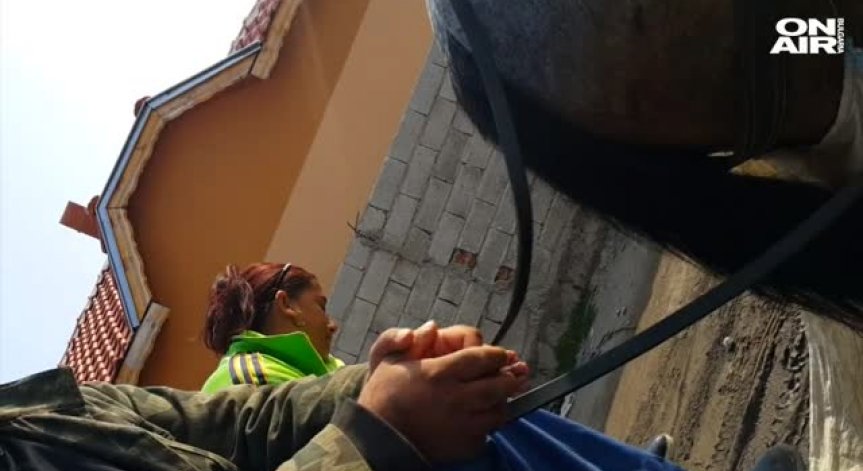 Глас от 